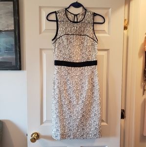 Banana Republic lace dress in white and navy size2